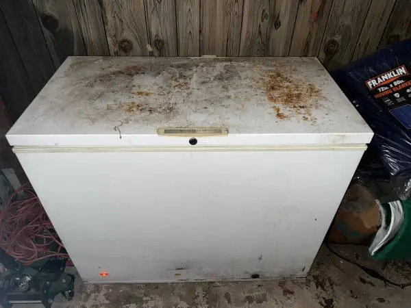 Free deep freezer