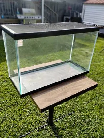 Nice screen top aquarium