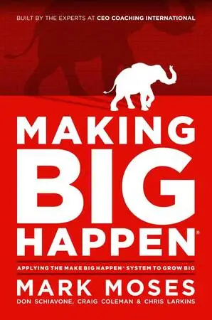 Applying The Make Big Happen System to Grow Big #7972
