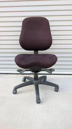 BodyBilt Desk Chair