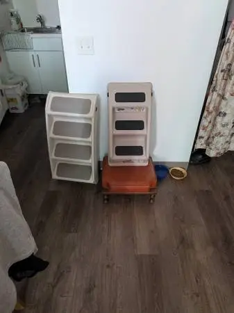 Dog stairs