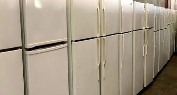 Top Bottom Refrigerators
