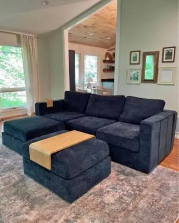 Lovesac sectional couch