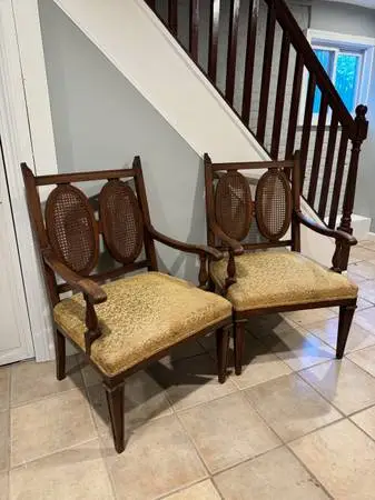 Pair of vintage velvet and caned back modern arm chairs