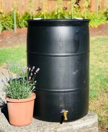 Water Barrel with faucet - Sequim