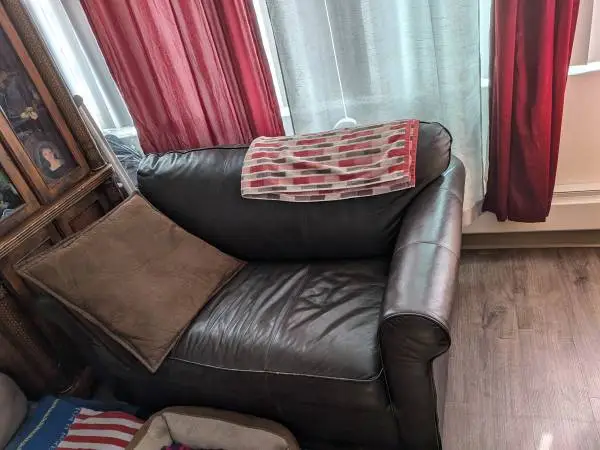 Loveseat/ twin bed