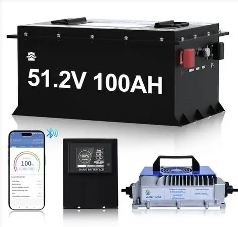 48 Volt Lithium Golf Cart Battery