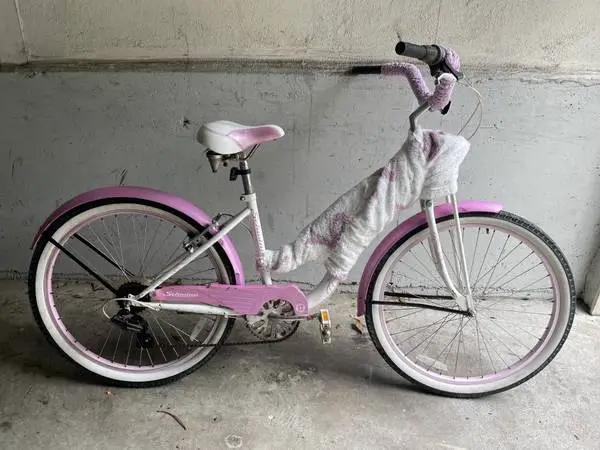 Schwinn Burning Man Bike for 5.3-5.9 person ready for Playa
