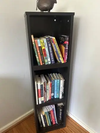 2 Ikea Book Shelves
