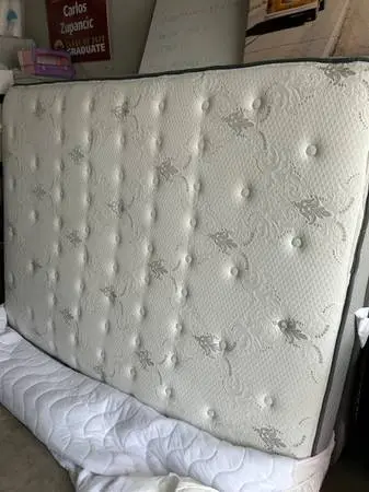 Queen bed clean mattress boxspring & frame Exercise Bike