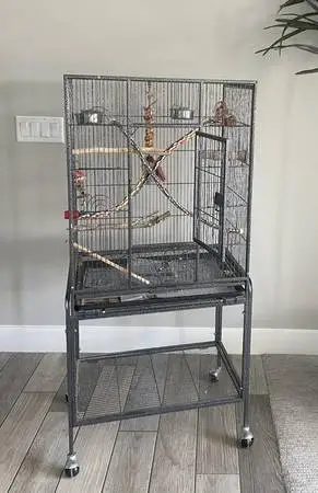 Bird Cage Large - Like New