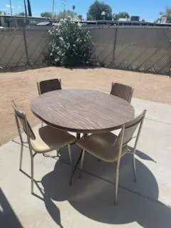 Vintage/MCM dining table and chairs