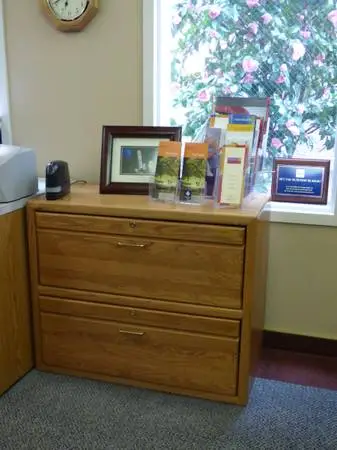 2 Drawer Oak Lateral File