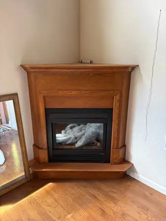 Heat-N-Glo Propane Fireplace Insert
