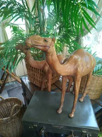 2- Camels vintage