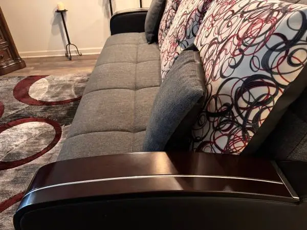 Sofa Bed w/ rug