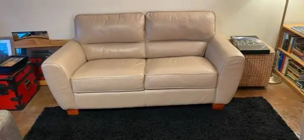 2 leather couches