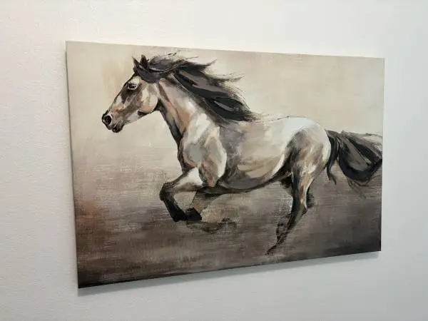 Horse Cavvas