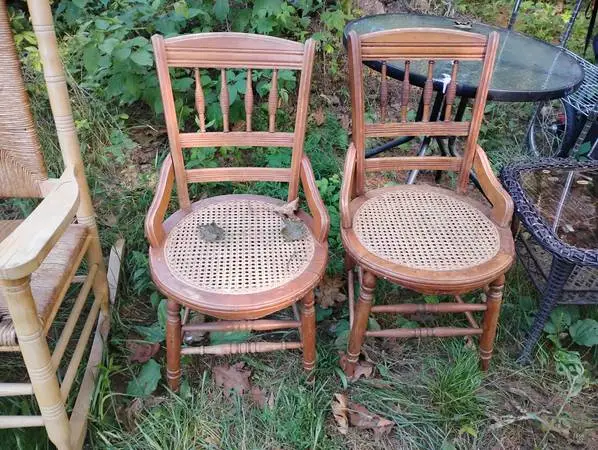 2 chairs for $20