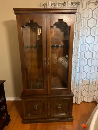 Vintage guncase
