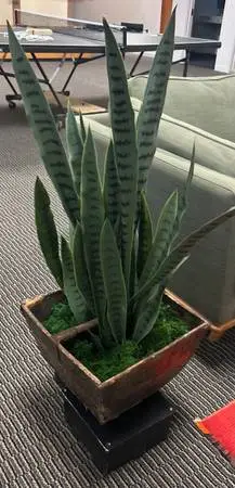 Indoor Artificial Snake Plant with Pot