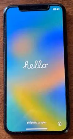 Apple iPhone XS 256GB Unlocked