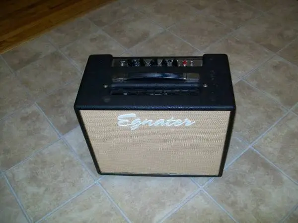 Vintage Peavey Classic 20 Tube Amp in Egnater 12 Cabinet Celestion
