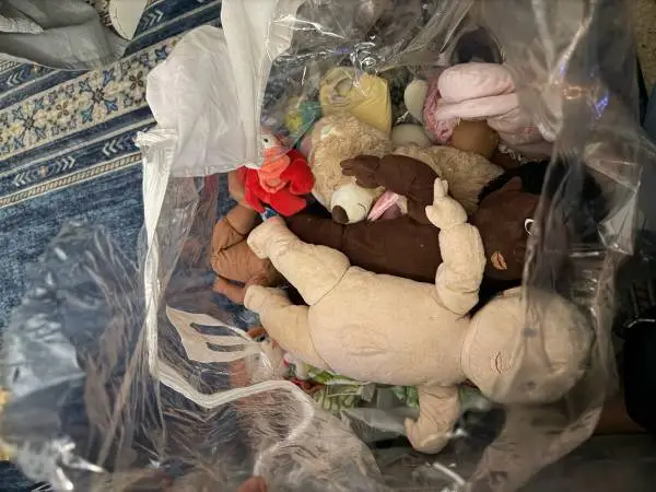 Big Lot of Plush Dolls and Stuffed Animals (READ FULL DESCRIPTION BELOW👇)