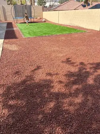 Landscape & trees trimming & clean up yard cervices
