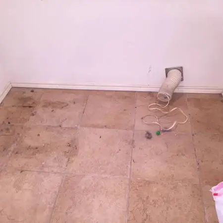 Top-of-the-line house cleaning at affordable rate