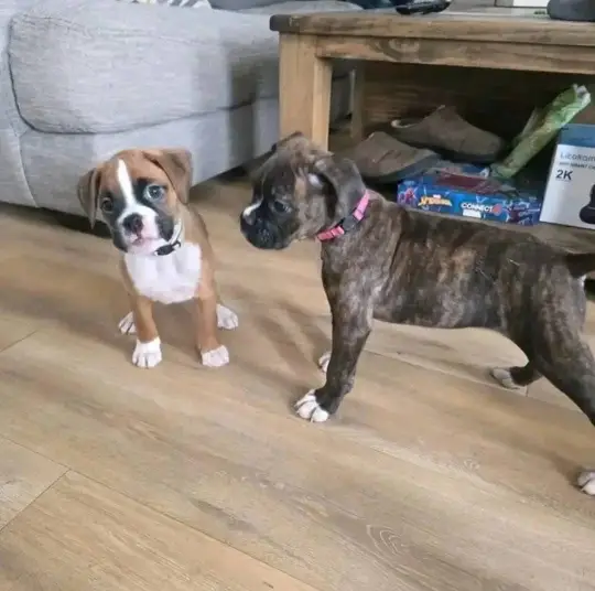 Ready for a new home
