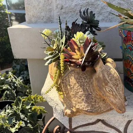 Ceramic Armadillo W/ Succulents- 24X11X14- AS IS