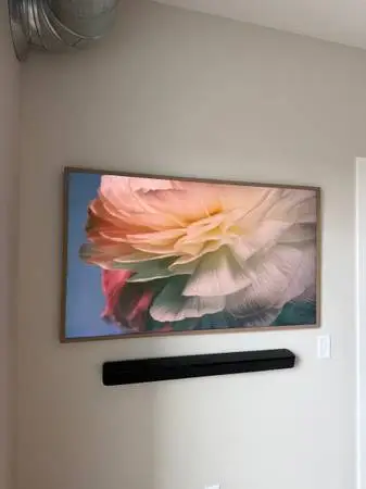 TV Mount-Same Day