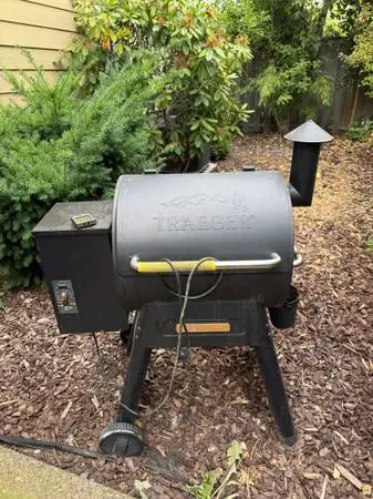 Traeger Renegade Pro