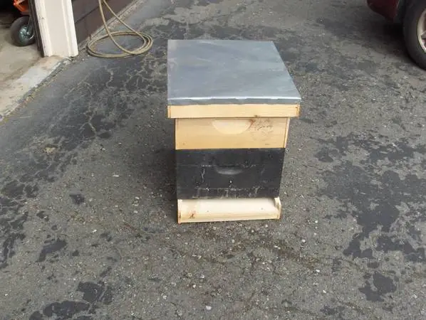 Basic Beginners Beehive Beekeeping Honeybees