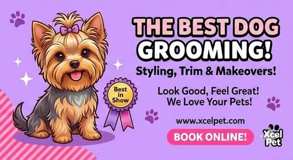 AKC Certified and Safety Trained Grooming Salon accepting new clients