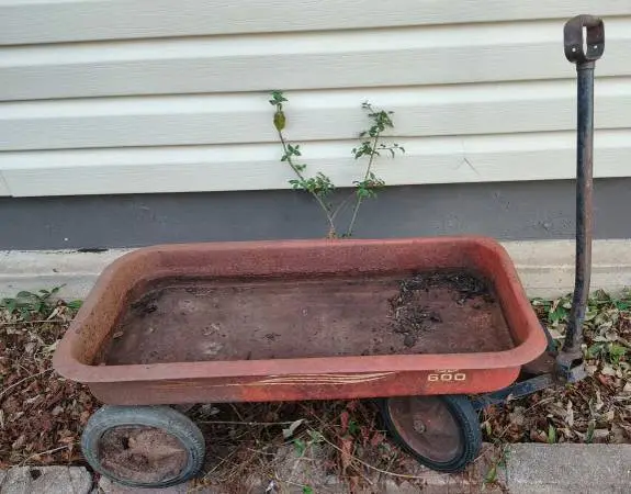Vintage Radio Flyer Wagon