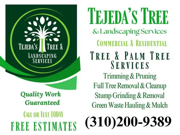LA PUENTE 🌳 Tree Services, Palms 🌴 Trimming, Removal, Stump, Cleanup