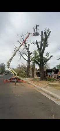 Yard Work & Tree Removal