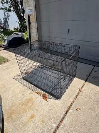dog crate