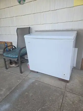 freezer AND food