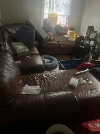 Leather couch