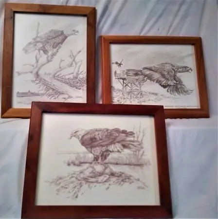 FRAMED EAGLES CW SCHWARTZ DRAWING SKETCHES 3 TOTAL 2 HORIZ.1 VERTICAL