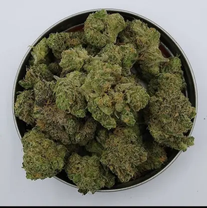 Premium indoor flower Cannabis
