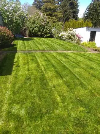 Lawn mowing service
