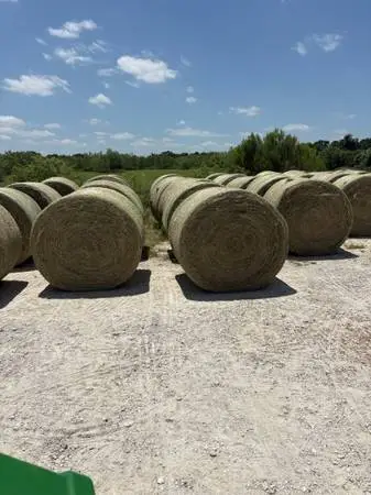 Fertilized Horse Hay 2026