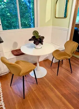 Mid Century Modern Dining Chair Pair