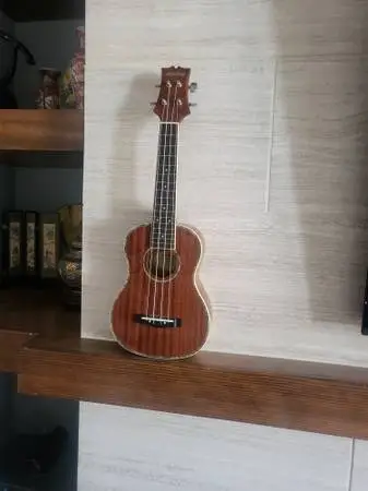Ukulele Guitar electric drumset
