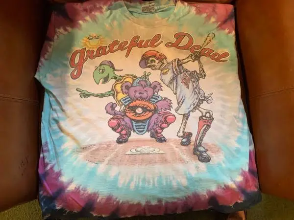 VINTAGE BAND / CONCERT SHIRTS AND OTHERS (21) - DELIVERY AVAILABLE