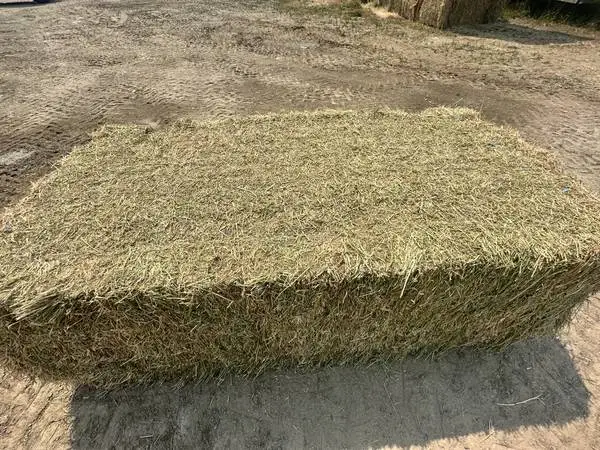 Big bales alfalfa hay